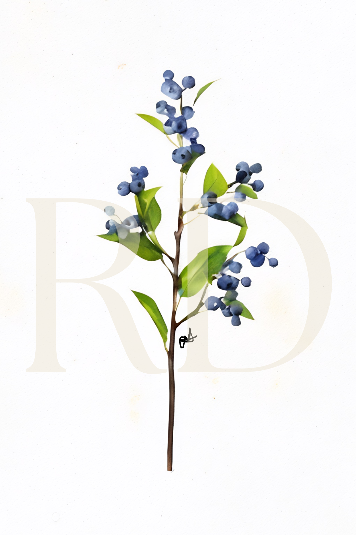 Blueberry Stationary Set