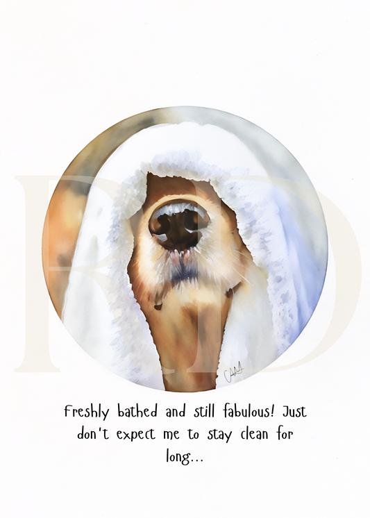Bathed dog card