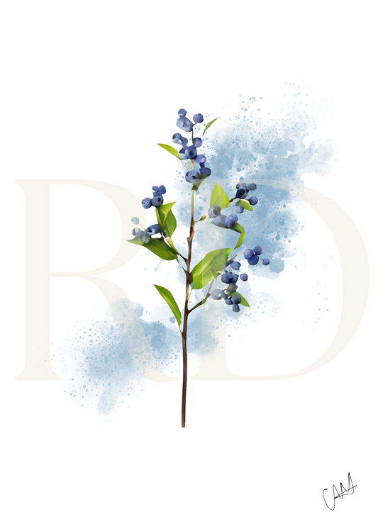 Blueberry card