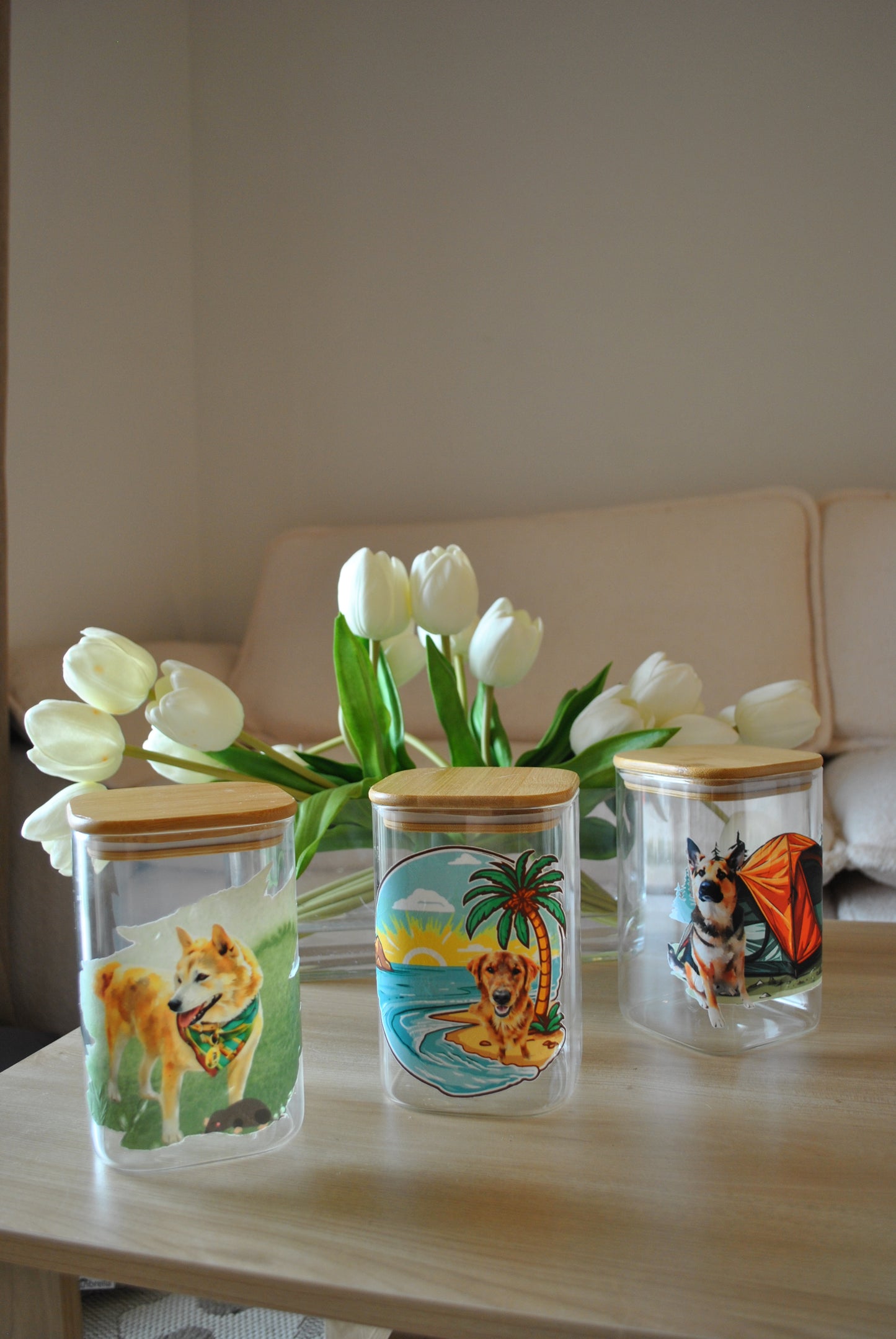 Acrylic Glass 16oz Drinking Jar or Treat Jar