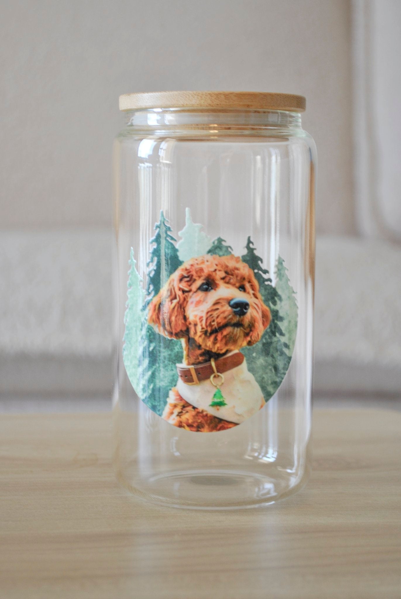 Acrylic Glass 16oz Drinking Jar or Treat Jar