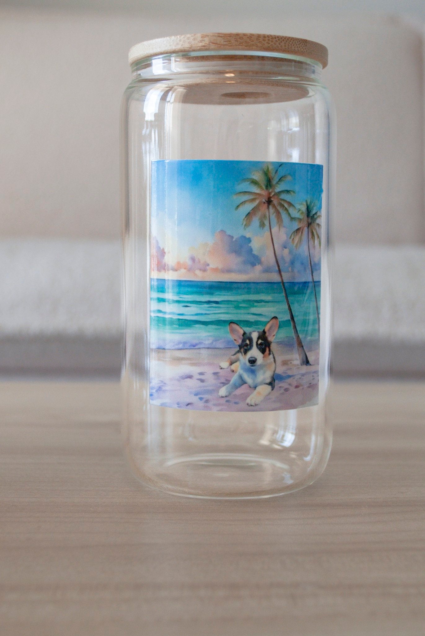 Acrylic Glass 16oz Drinking Jar or Treat Jar