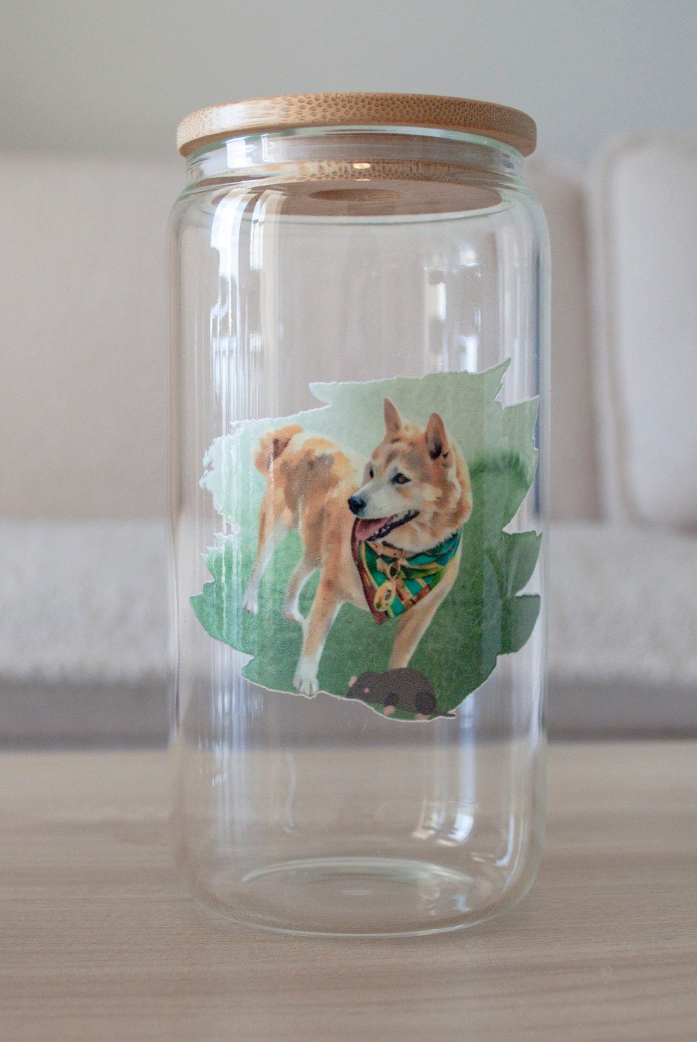 Acrylic Glass 16oz Drinking Jar or Treat Jar