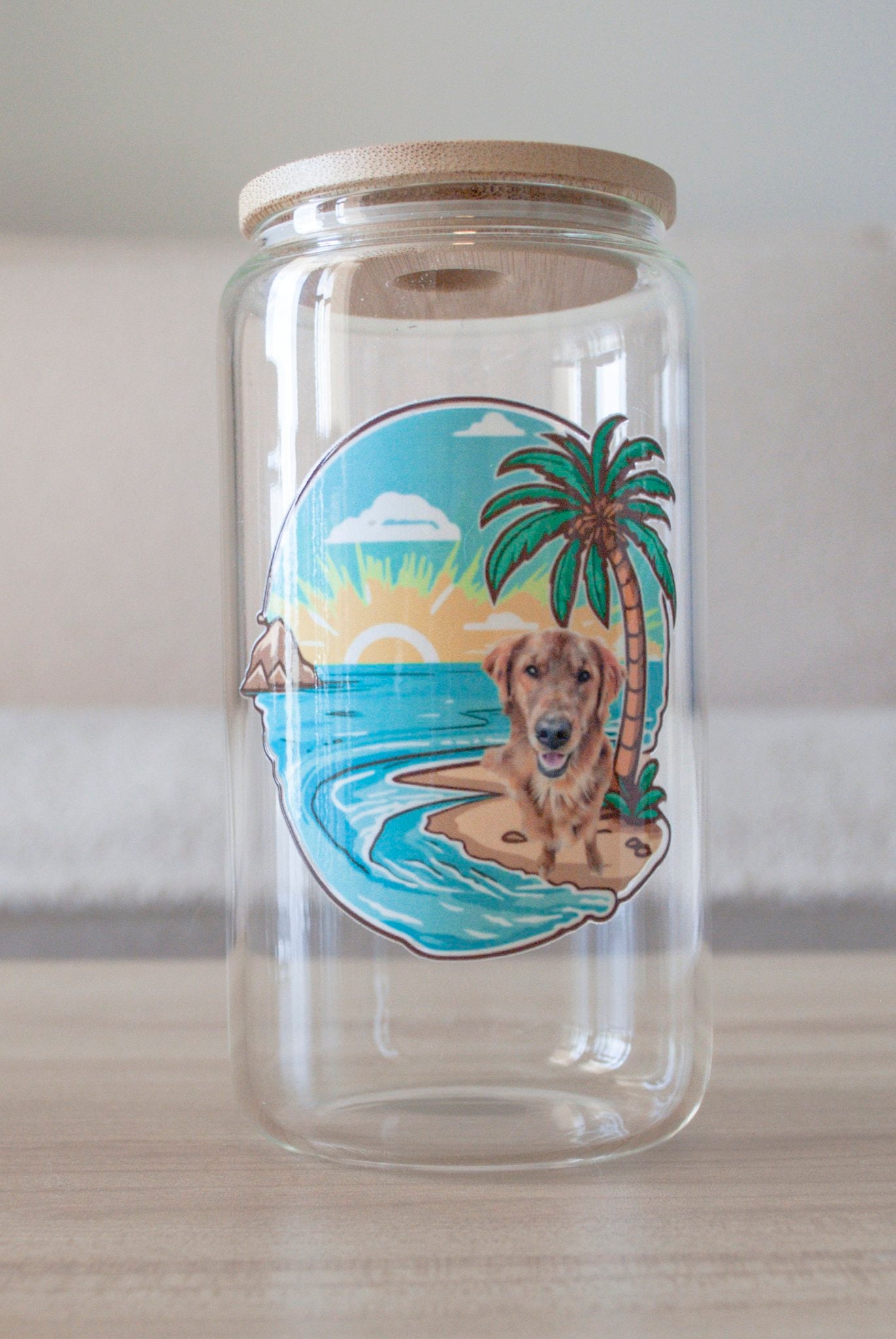 Acrylic Glass 16oz Drinking Jar or Treat Jar