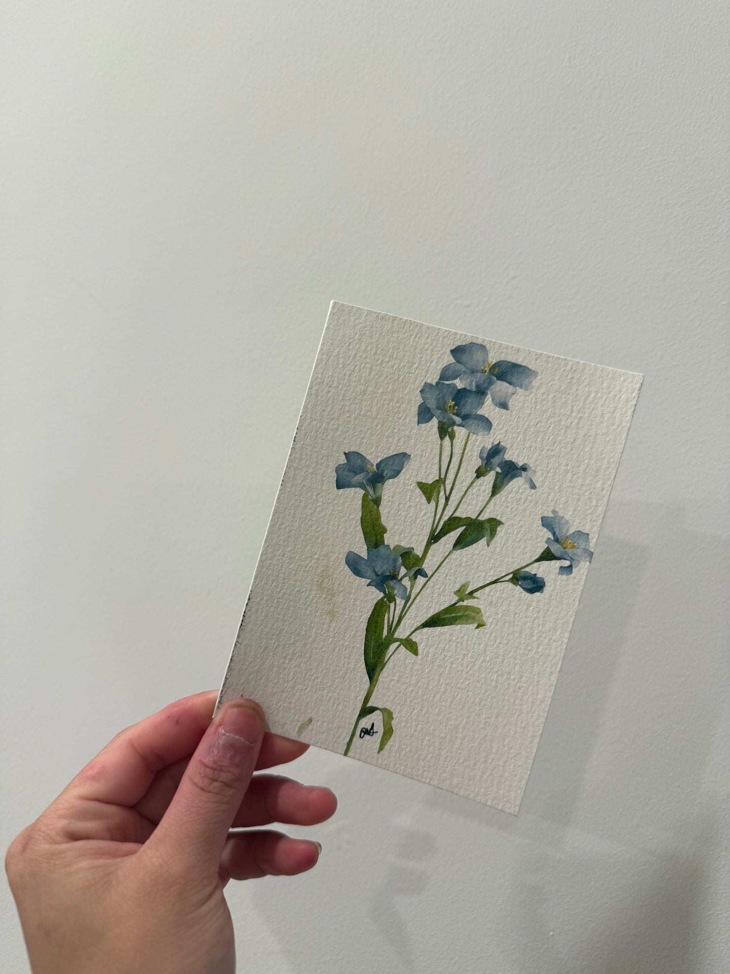 Blue floral
