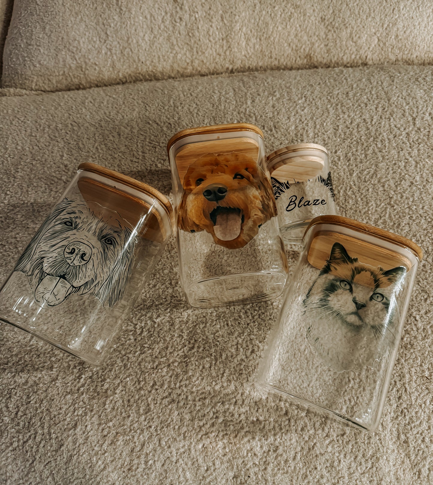Acrylic Glass 16oz Drinking Jar or Treat Jar