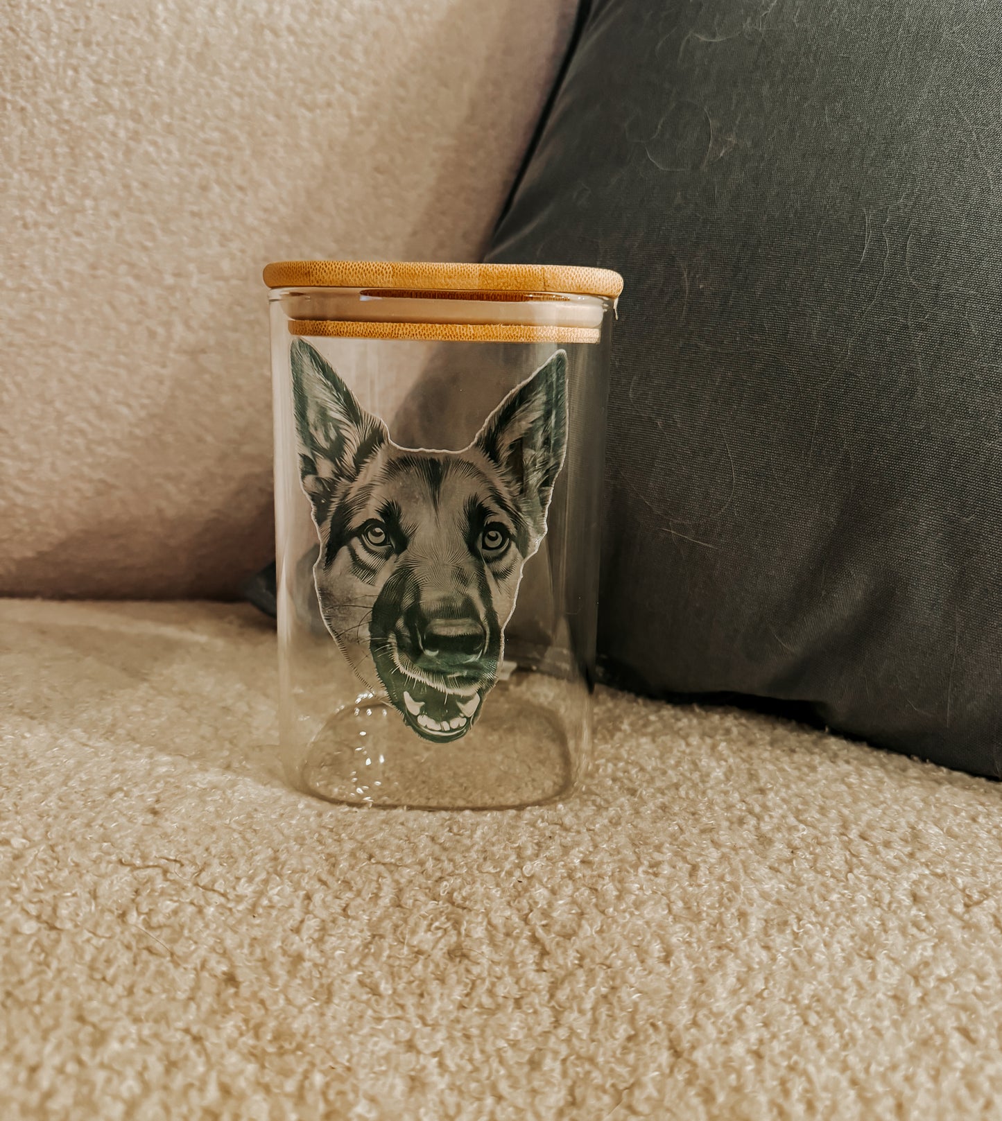 Acrylic Glass 16oz Drinking Jar or Treat Jar