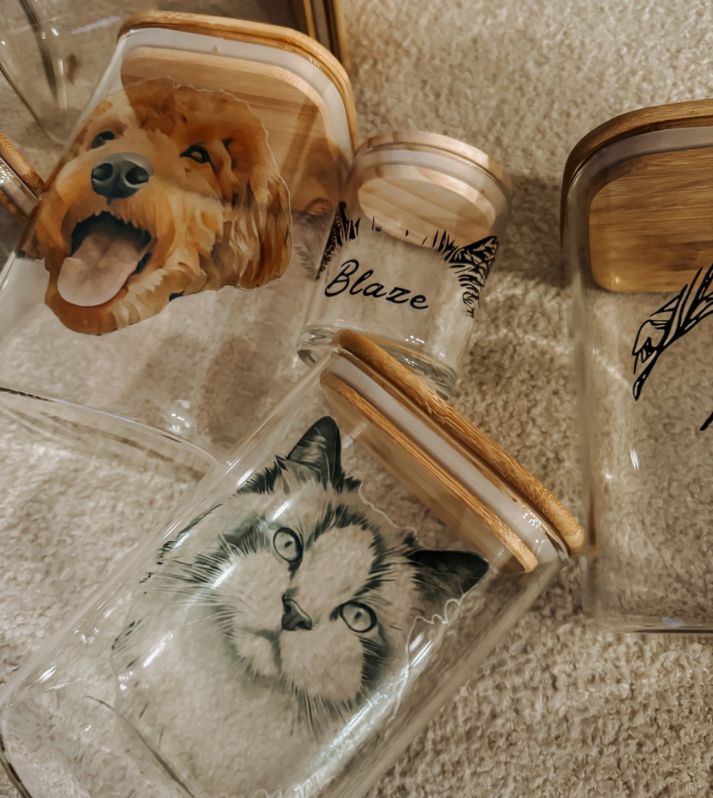 Acrylic Glass 16oz Drinking Jar or Treat Jar