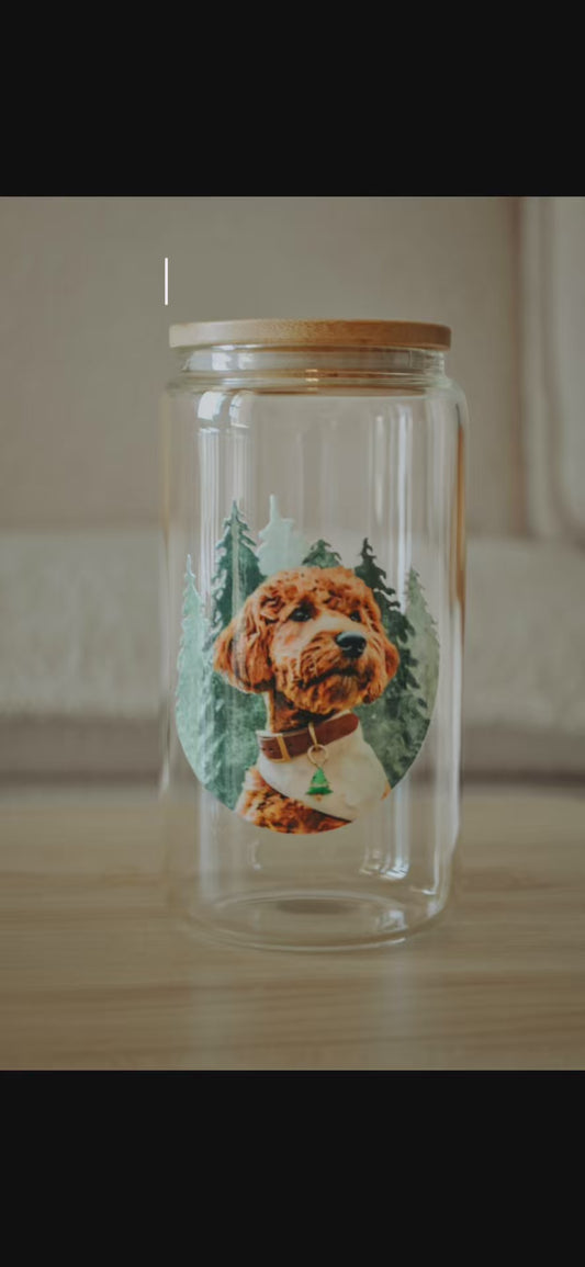 Acrylic Glass 16oz Drinking Jar or Treat Jar